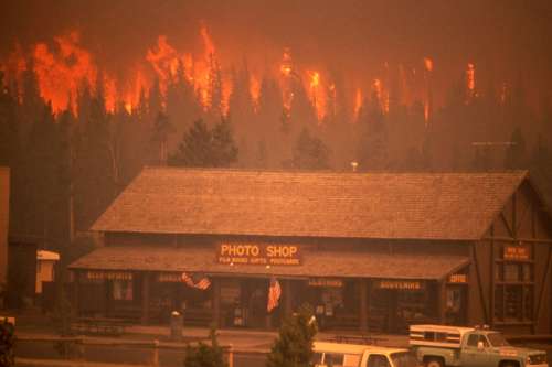 Crown fire approaches the Old Faithful complex in 1988 free photo