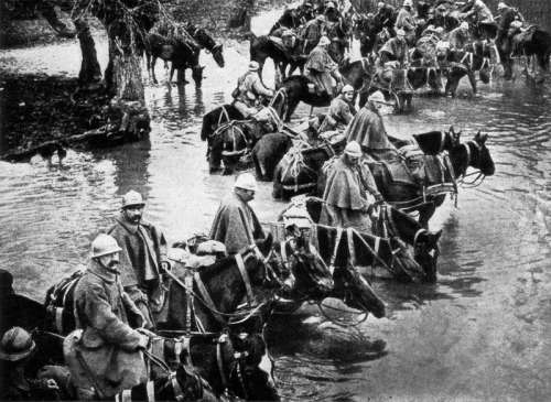 Defense of Verdun in World War I free photo
