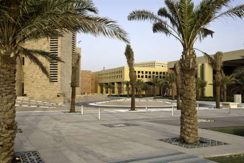 Desert city and landscape in Doha, Qatar free photo