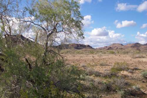 Desert Landscape near Yuma, Arizona free photo