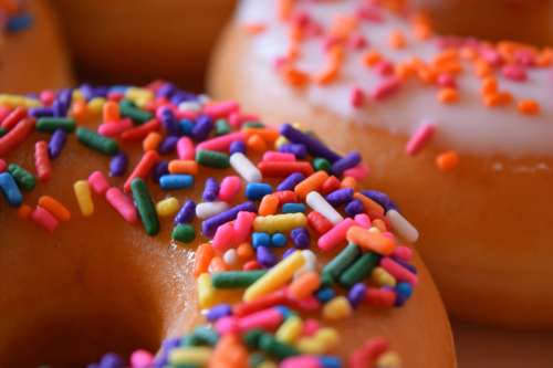 Donuts with Sprinkles free photo