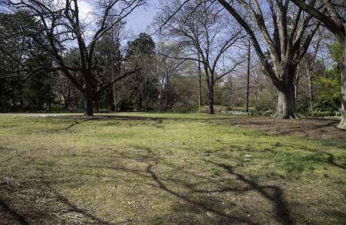 Empty Space in the Garden at UNC Chapel Hill, North Carolina free photo