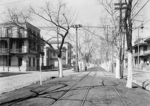 Esplanade Avenue at Burgundy Street in New Orleans, Louisiana in 1900 free photo