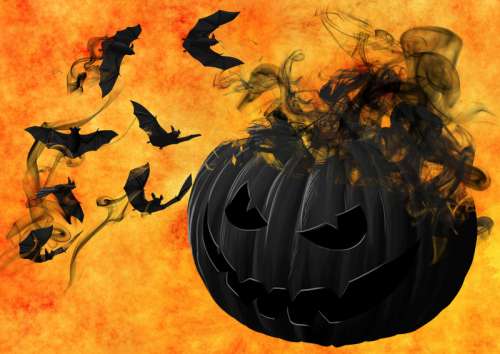 Evil Black Halloween Pumpkin with Bats free photo