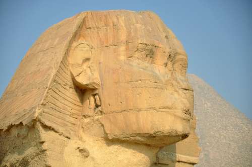 Face of Sphinx without Nose in Giza, Egypt free photo