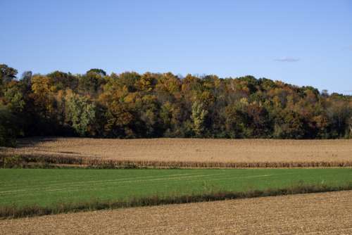 Farm and Autumn Treeline with fall foliage in Wisconsin free photo