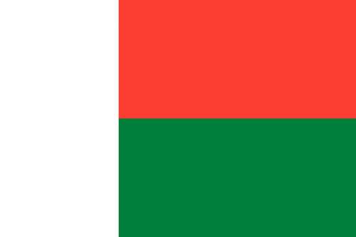 Flag of Madagascar free photo