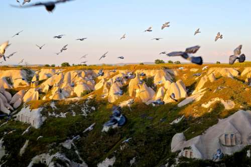 Flock of Birds flying over Cappadocia, Turkey free photo