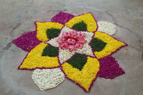 Flower Rangoli in Chennai, India free photo