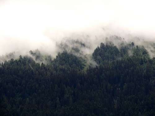 Fog over the tree and forest in France free photo