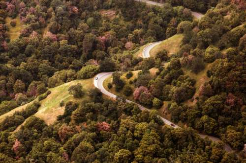Forest and hills landscape with road free photo
