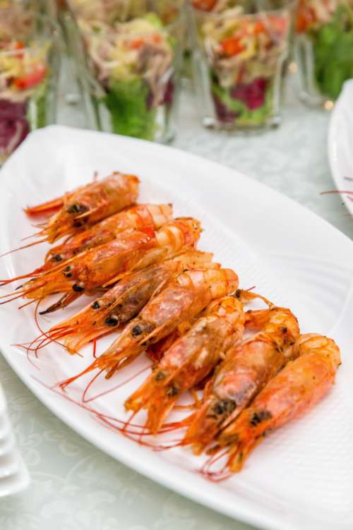Fried Shrimps on a plate free photo