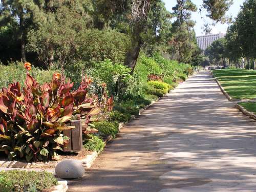 Garden at the Hebrew University in Jerusalem, Israel free photo