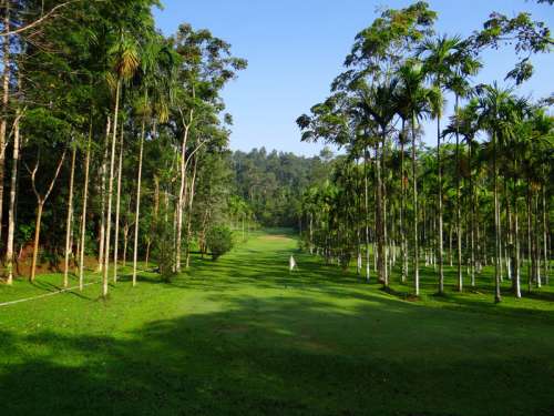 Golf Course with tropical trees in India free photo