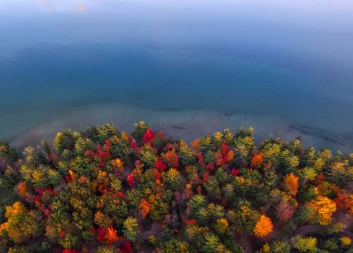 Great lake Shoreline with autumn foliage in Michigan free photo