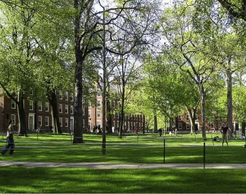 Harvard Yard in Cambridge, Massachusetts free photo