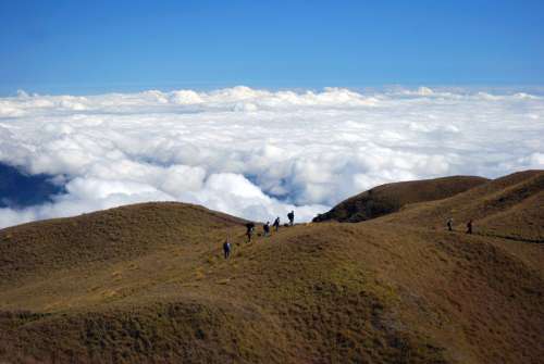 Hiking in the Hills above the Sea of Clouds on Mount Pulag, Philippines free photo