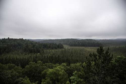 Hills and Forest landscape at Algonquin Provincial Park, Ontario free photo