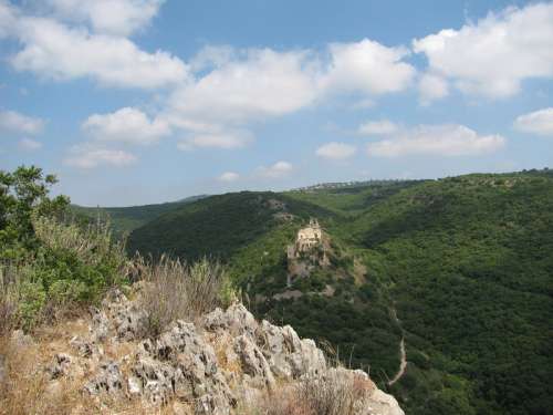 Hills and Trees in Israel free photo