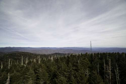 Hills, radio tower, and sky with trees from Clingman's Dome, Tennessee free photo