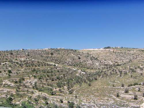 Hillside Landscape in Israel free photo