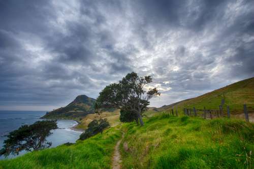 Hillside Landscape under Clouds in New Zealand free photo