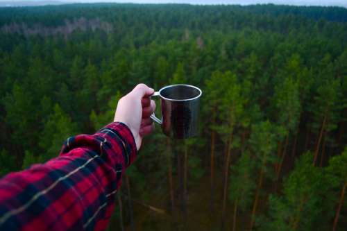 Holding a Cup over the forest free photo