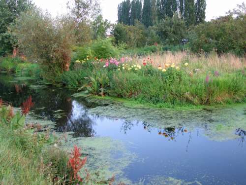 Hortillonnages landscape in Amiens, France free photo