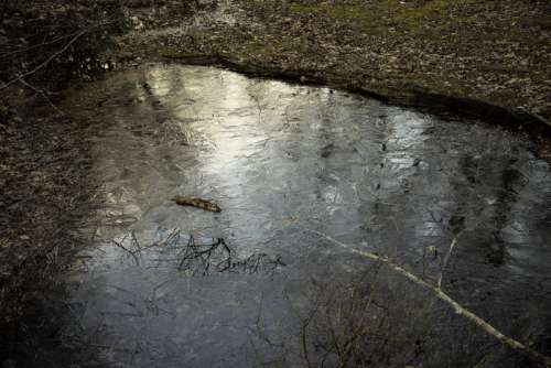 Ice Patterns on the water in the creek at Hawn State Park, Missouri free photo