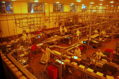Inside the Tillamook Cheese Factory in Oregon free photo