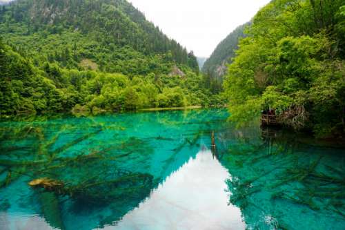 Jiuzhaigou landscape with green water in Sichuan, China free photo