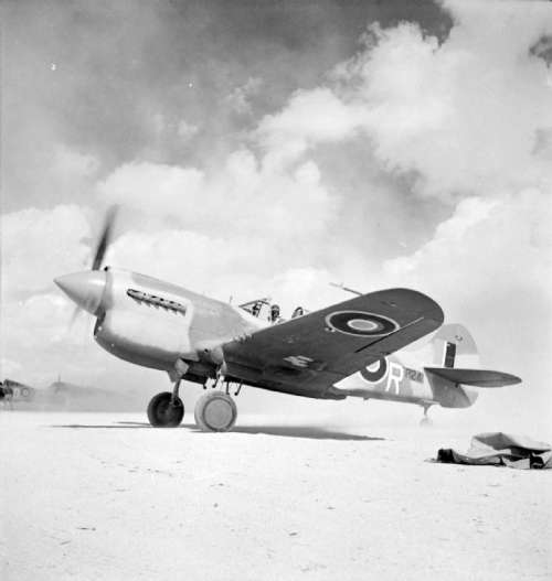 Kittyhawk Mark III during the 2nd battle of El Alamein, World War II free photo