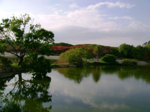 Lakeview of Lalbagh Park in Bangalore, India free photo