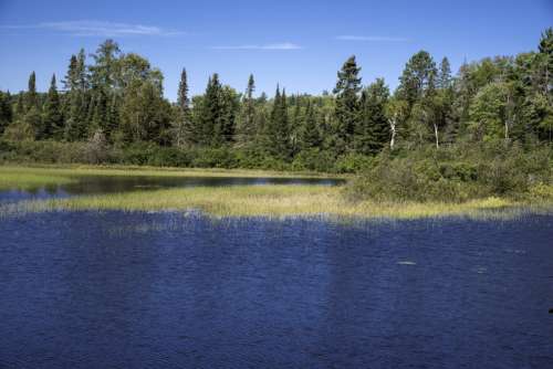 Landscape across the Peshekee River at Van Riper State Park, Michigan free photo
