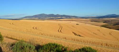 Landscape and Farms in Vietnam free photo