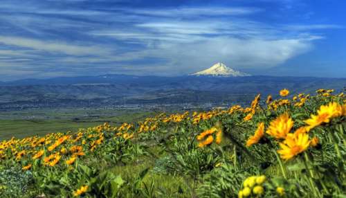 Landscape near Mount Hood, Oregon free photo