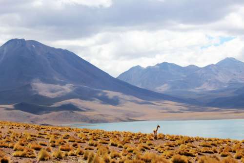 Landscape of mountains, clouds, desert, and lake in Chile free photo