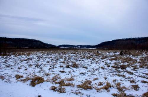 Landscape of the Snowy Field in Wisconsin free photo