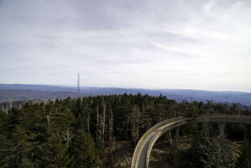 Landscape with a bit of the tower path above the forest at Clingman's Dome, Tennessee free photo
