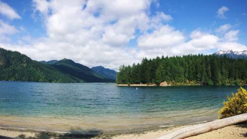 Landscape with lake and Mountains in Hoodsports, Washington free photo