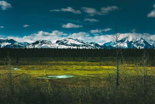 Landscape with Mountains in Denali National Park, Alaska free photo