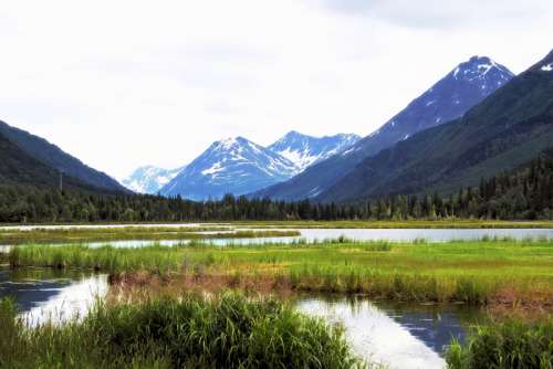 Landscape with Mountains with wetlands in Alaska free photo
