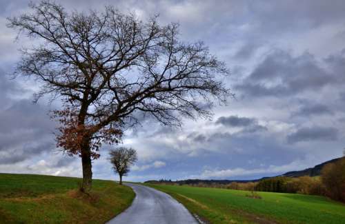 Landscape with tree and clouds in Luxembourg free photo