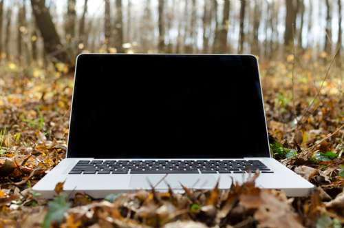 Laptop sitting on leaves on the forest floor free photo