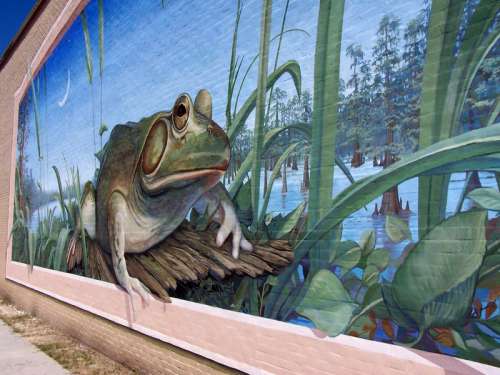 Frog Sitting on a chair Mural in Rayne, Louisiana free photo