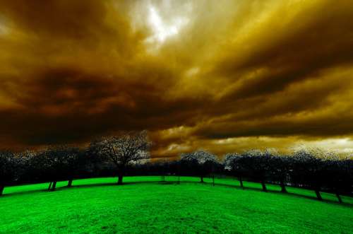 Light Effect with clouds over grass and trees free photo