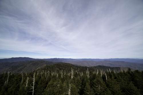 Majestic landscape of the top of the blue ridge mountains from Clingman's Dome, Tennessee free photo