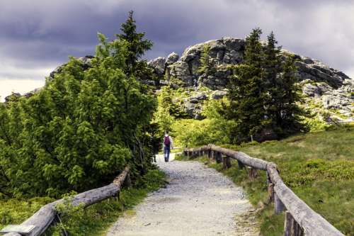 Man hiking towards the mountain on the hiking path free photo