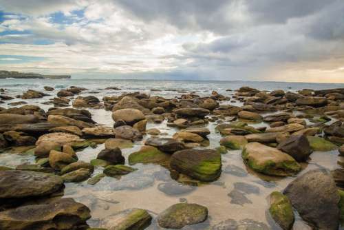 Maroubra Beach in Sydney, New South Wales, Australia free photo