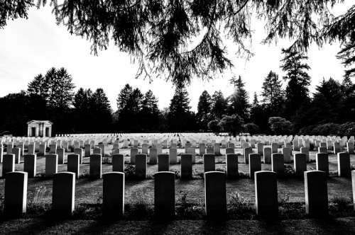 Memorial Cemetary in black and white free photo